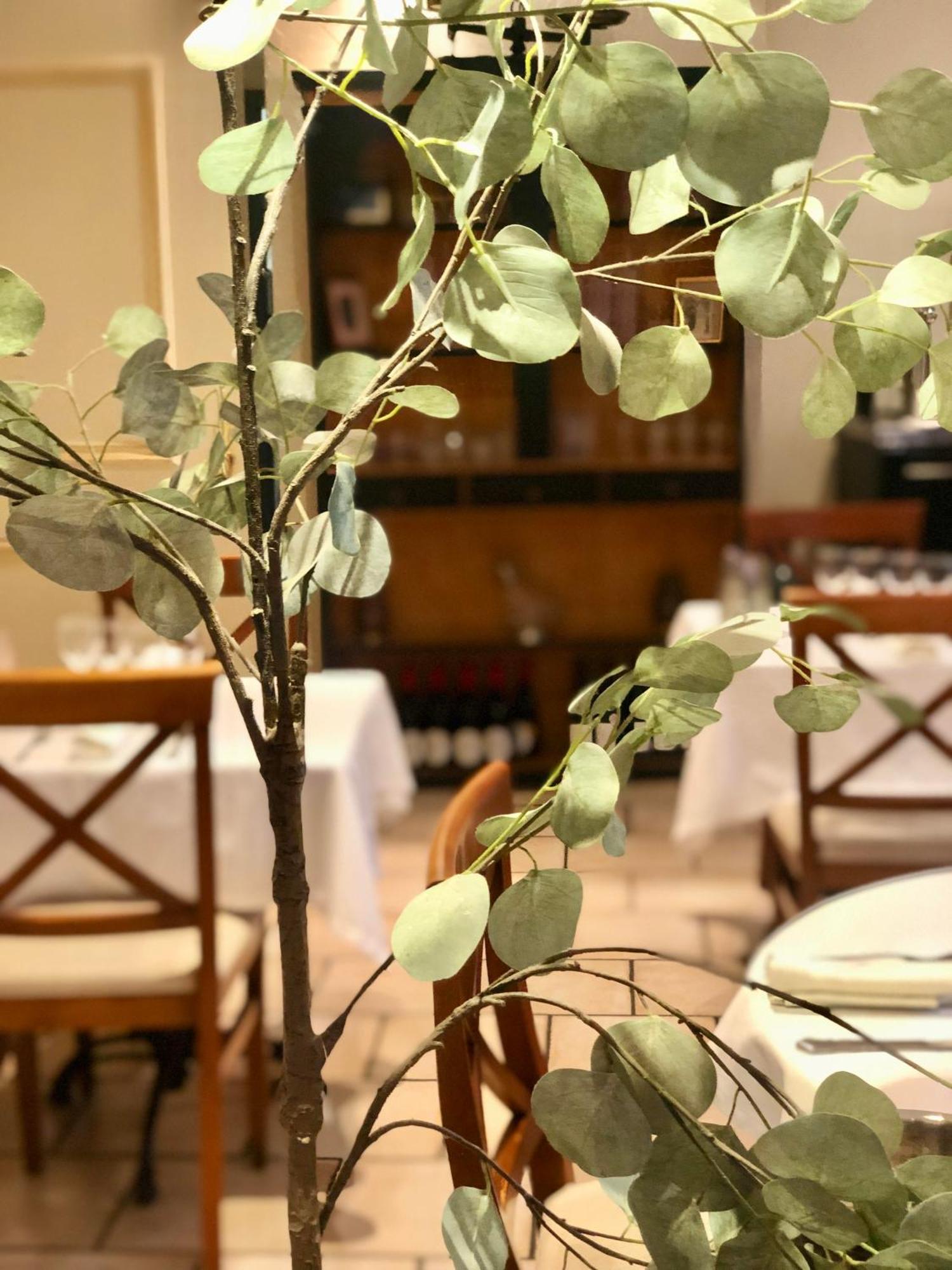 Logis Hotel Et Restaurant La Bastide Cabezac Bize-Minervois المظهر الخارجي الصورة